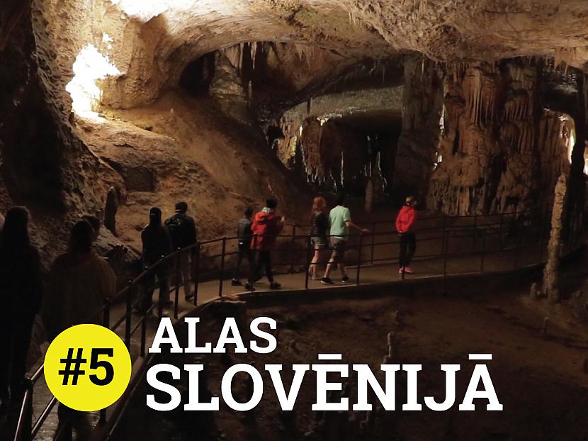 Autors: Ervīna video blogs Eirotrips #5: Postojna alas