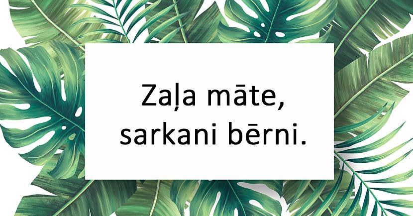 nbspnbspAtbildenbspEgle Autors: matilde 20 interesantas latviešu tautas mīklas