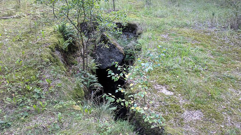 Baisi iedomāties ka cilvēku... Autors: Treasurehunt Mangaļsala