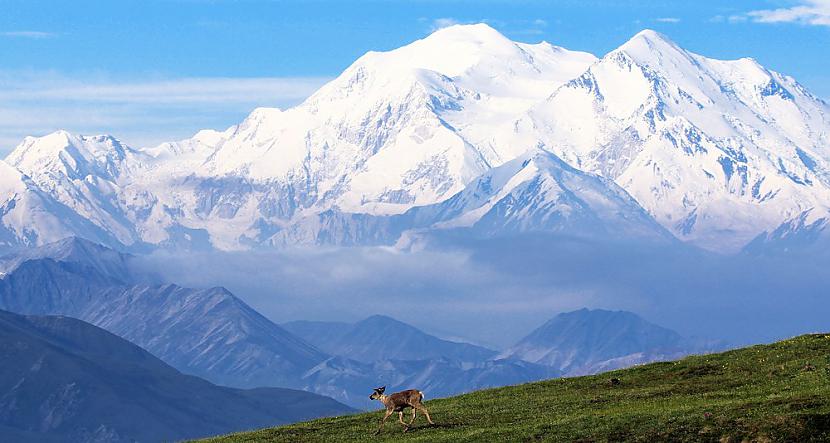 nbspDenali Nacionālais parks... Autors: Sūrais jātnieks Kad atgriezties ir par vēlu. Noslēpumainais stāsts par jaunieti savvaļā