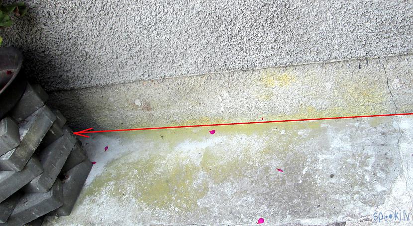 Viņscaron izdarīja savu... Autors: rasiks Neesmu slepkava