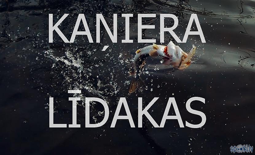 Autors: Artfilm Kaņiera līdakas un asari uz spininga / щука и окунь на спиннинг / dabas bērns