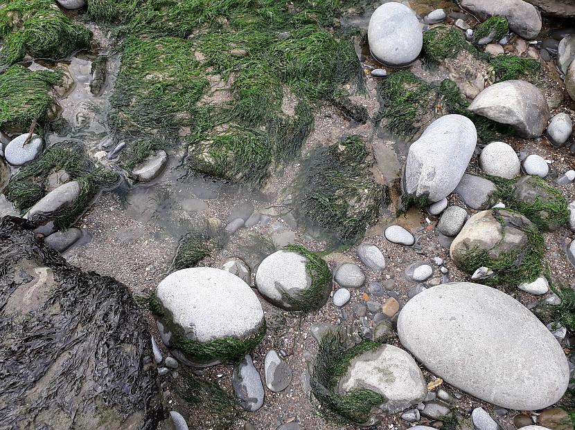 Autors: Griffith Dunraven Bay, Velsa, 7. septembris. 1/2 daļa.