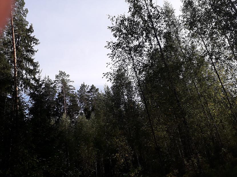Autors: Griffith Atvaļinājums - 26. augusts, 2019. 2/2 daļa.