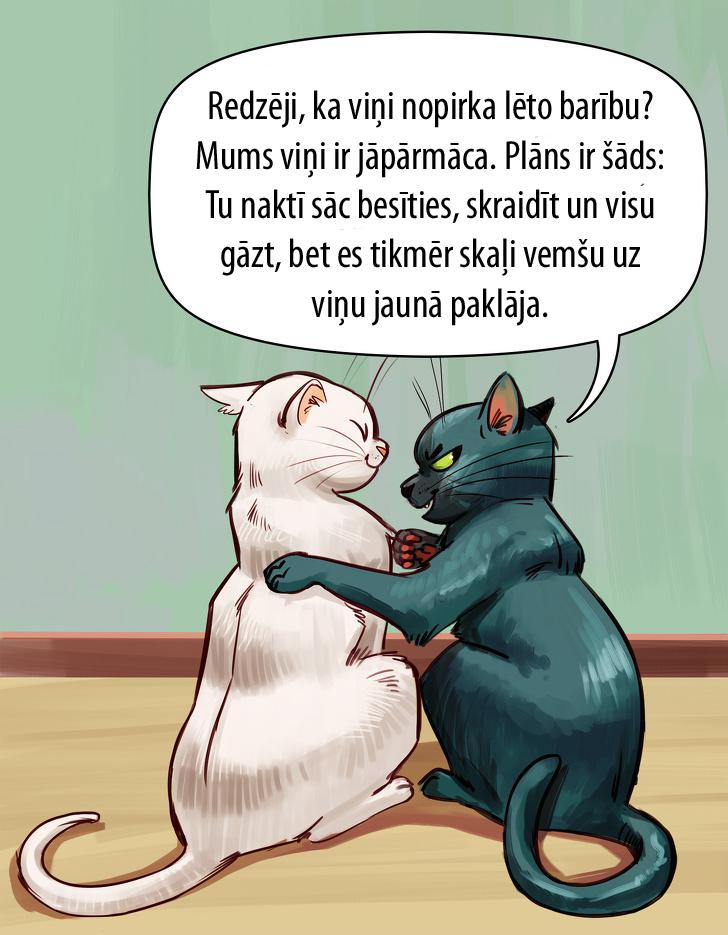 Autors: matilde Kā būtu, ja mājdzīvnieki spētu runāt ar cilvēkiem (11 komiksi)