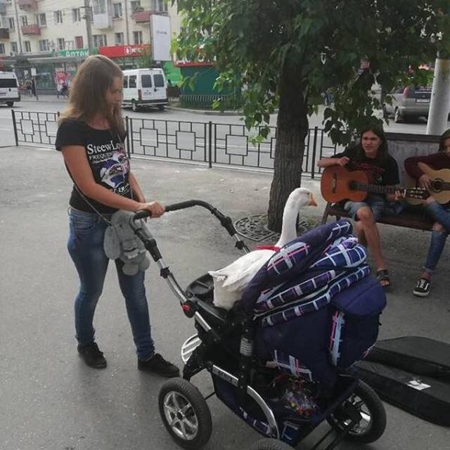 Pienāk pasaules gals... Autors: es tēvocis Asorti ar tekstu šodienai (28.09.2019)