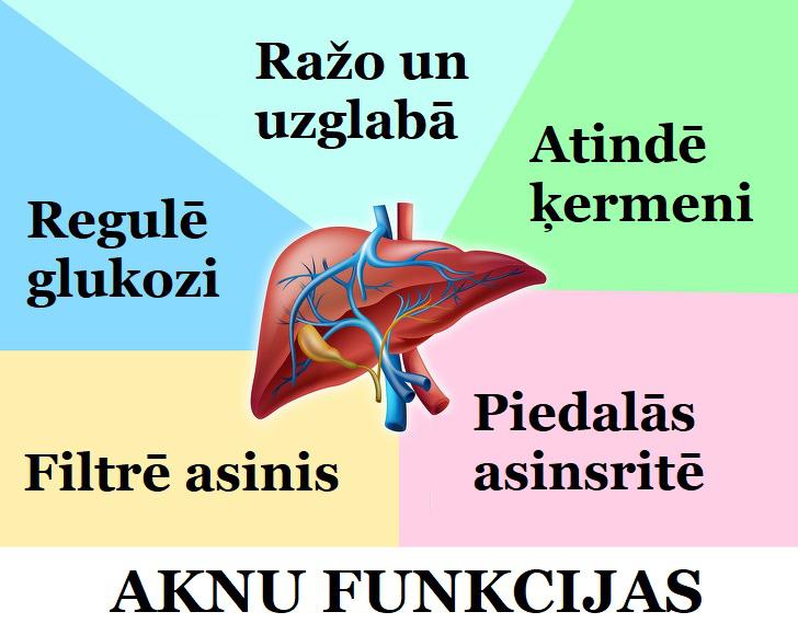 Aknas pilda vairāk nekā 500... Autors: The Diāna 12 neparasti fakti par cilvēka ķermeni