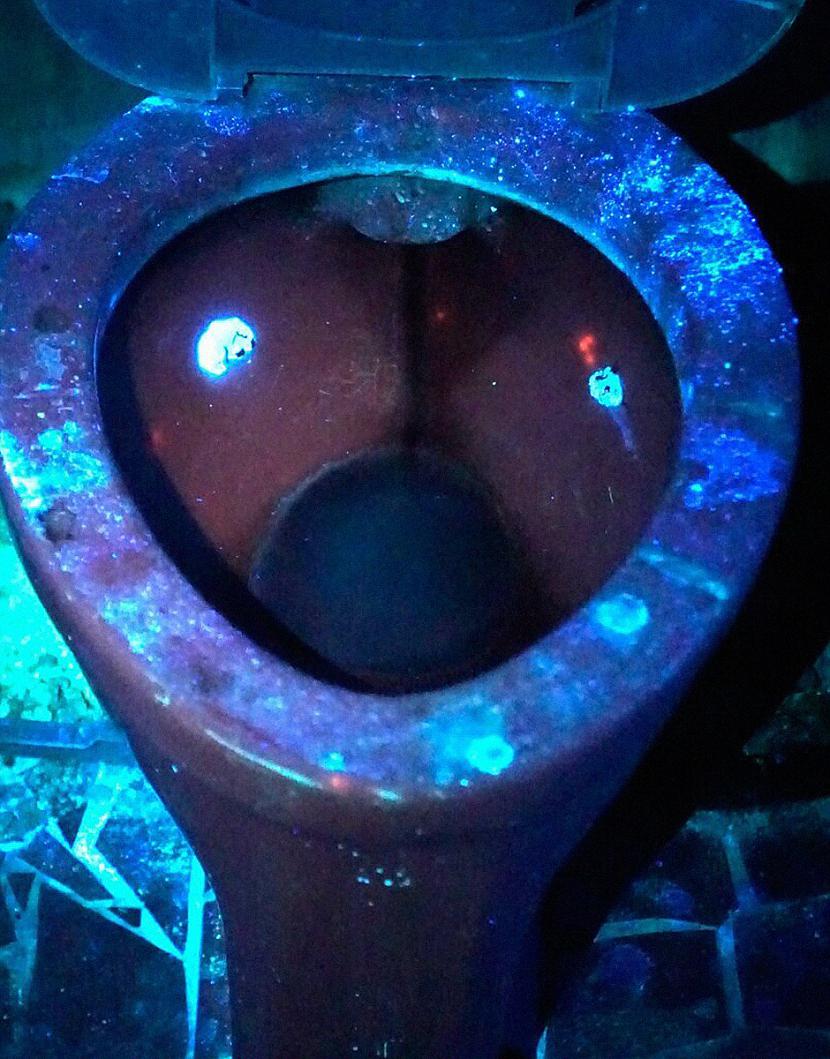 Tualetes pods no... Autors: matilde Cik patiesība tīra vai netīra ir virtuve? (6 foto)