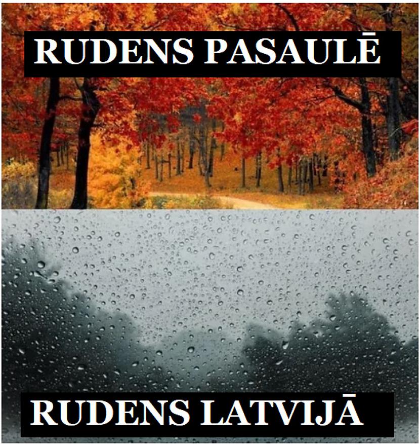 Autors: The Diāna Smieklīgu memīšu izlase ceturtdienai!