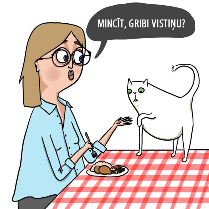 nbspBieži vien Tev nākas... Autors: matilde 11 lietas, kuras ir zināmas katram kaķu saimniekam