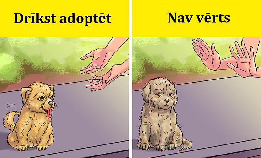 nbspNe jau tikai mīļajiem un... Autors: Lestets 11 dubulto standartu piemēri, kas bojā mūsu dzīvi