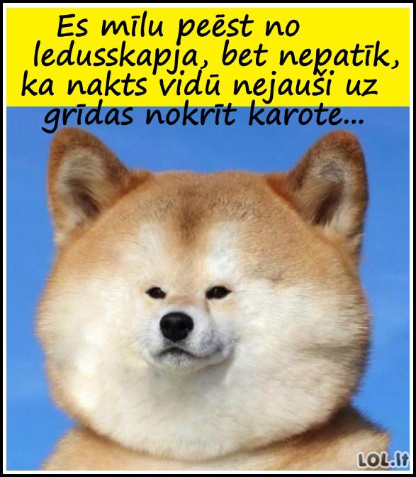 Autors: rasiks Katram sava mīlestība
