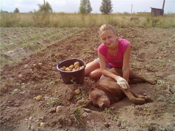 Autors: es tēvocis Vīrieši ir noguruši no pilsētas meitenēm ar pilnām lūpām, viltus skropstām...