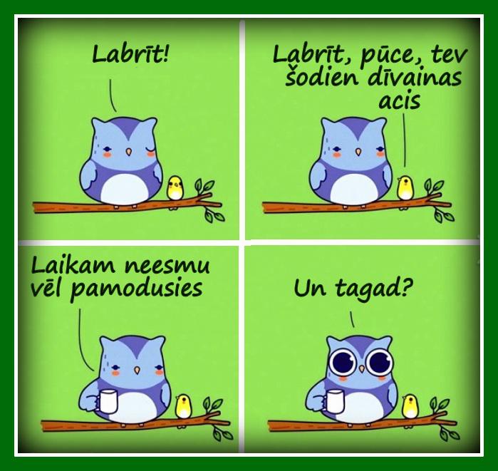 Autors: rasiks Atkal mazie bilžuki