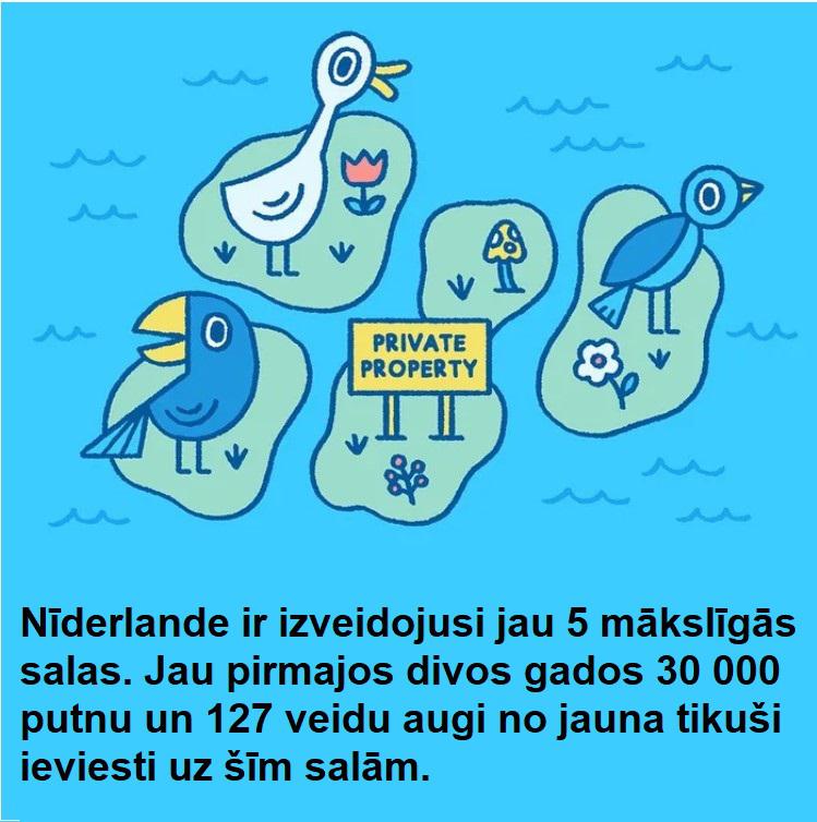 Autors: The Diāna 25 laimīgas lietas, kuras ir notikušas pēdējā laikā