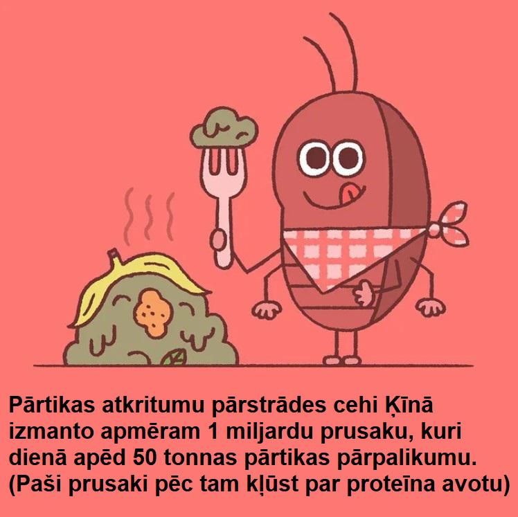 Autors: The Diāna 25 laimīgas lietas, kuras ir notikušas pēdējā laikā