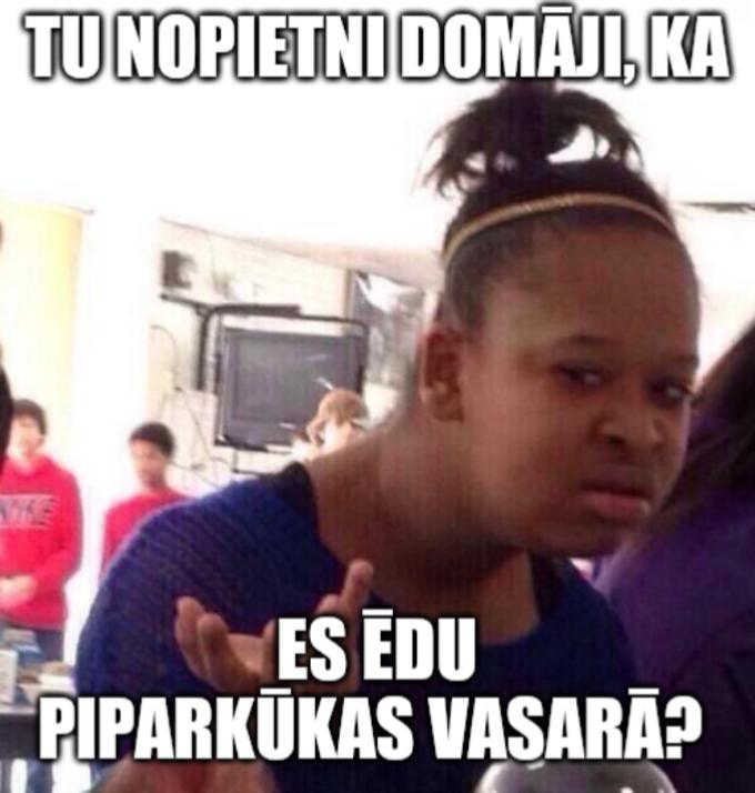 Autors: Eipene Memītes par Ziemiņsvētku tuvošanos... (10 memes)