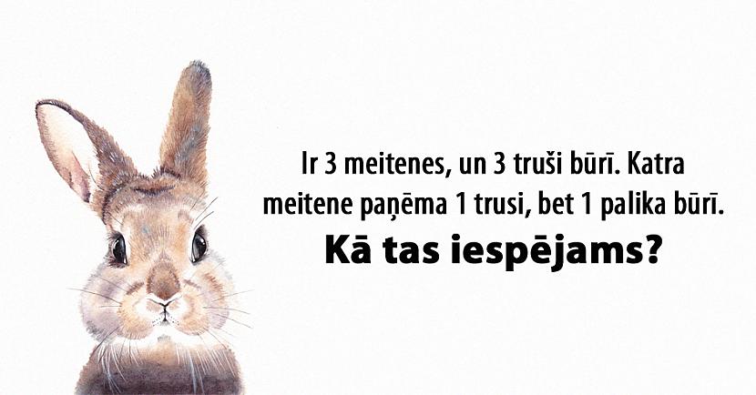 Tests: Vai vari atrisināt šos “cietos riekstus”?