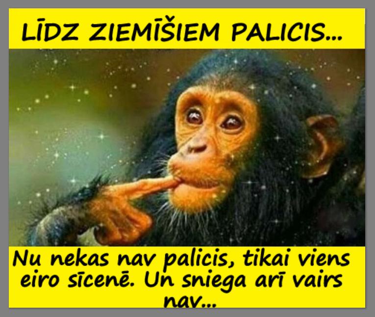 Autors: rasiks Pirmssvētku jociņi bildēs