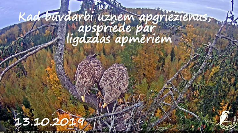 Autors: rasiks Katram savs vaļasprieks.