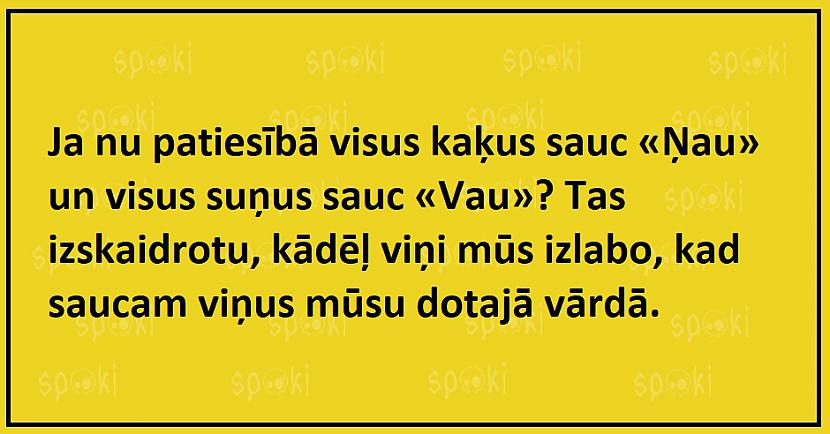 Autors: The Diāna Jociņu izlase garastāvokļa uzlabošanai (17 attēli)