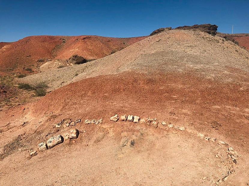 Attēlā var redzēt dinozaura... Autors: Lestets 15 interesanti attēli, kas var būt nedaudz biedējoši