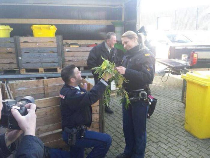 Nāk zilonis raudādams vilks... Autors: es tēvocis Asorti labākai dienai (17.03.2020)