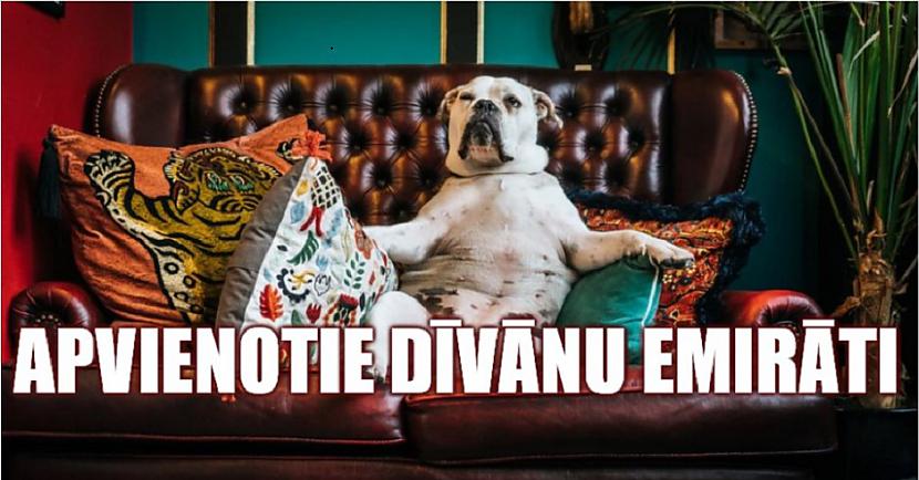 Izpildi testu un noskaidro, uz kurieni tu vari doties ceļojumā jau šodien!