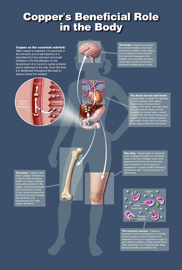 Varš (cuprum) Spoki bildes 3