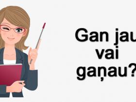 Izpildi testu un uzzini, vai Tu maz proti rakstīt pareizi latviešu valodā