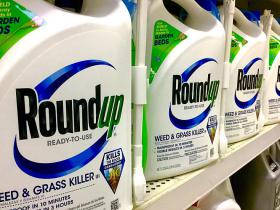 Monsanto Sātaniskā rituālā brūvētais "Round Up" - kāda ir patiesība?