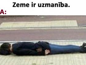 Memes par LAUVĀM
