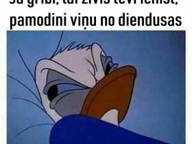 Memes par ZIVĪM