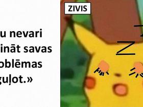 Memes par ZIVĪM