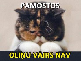 Depresīvie kaķi