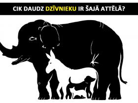 Seši uzdevumi, kurus var atrisināt bērni, bet pieaugušajiem sagādā grūtības