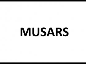 Alķīts, kļuška, musars - vai zini, ko nozīmē šie mūsdienu slengi?