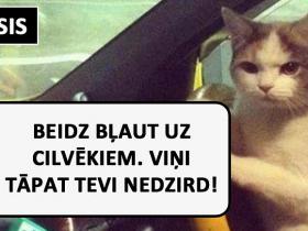 Lūk, kā automašīnu vada dažādas zodiaka zīmes
