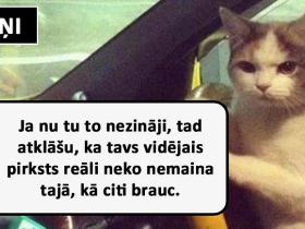 Lūk, kā automašīnu vada dažādas zodiaka zīmes