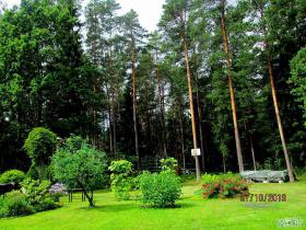 Bildes no neprognozējamās vasaras
