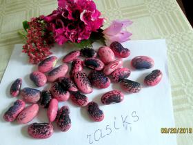 FS kaut kas violets