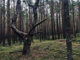 Ragakāpas mirkļos