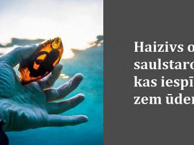 Vai tu esi redzējis šos dabas brīnumus?