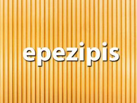 Tests: Vai zini, ko šie vārdi nozīmē pupiņu valodā?