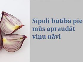 Šīs dienas laikam bezjēdzīgās domas II