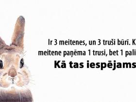 Tests: Vai vari atrisināt šos “cietos riekstus”?