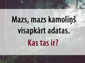 Vai spēsi atminēt šīs mīklas par meža zvēriem?