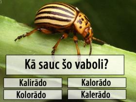 Tests: Tu esi tīrs pilsētnieks vai tomēr mazliet lauku cilvēks?