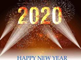Happy New year 2020 🎁 Funny Pet, Funny dog 🐶Funny Cat 😽